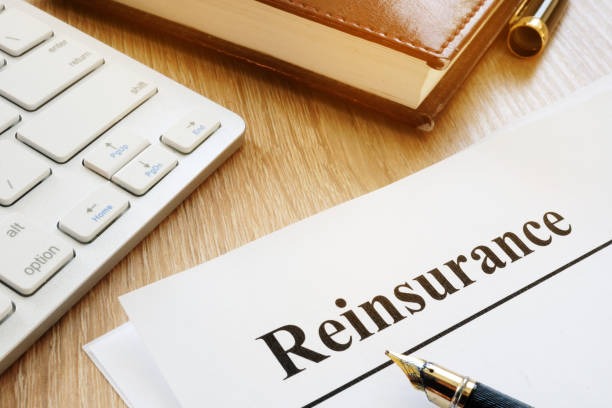 Reinsurance Market Size in India: Share, Growth Rate, Trends Analysis & Research Report 2025-2033